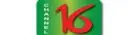 চ্যানেল ১৬
